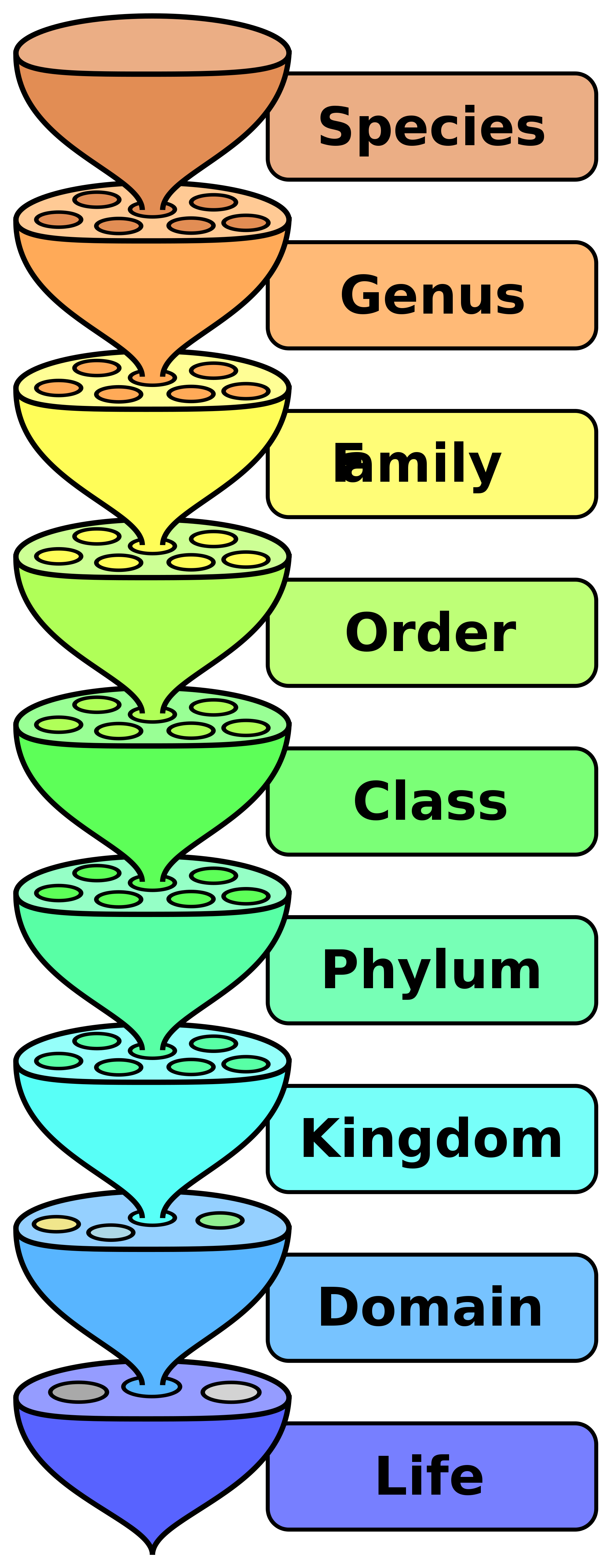 What Does Order Mean In Classification