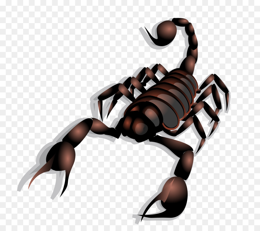 scorpion clipart Scorpion Clip art clipart.