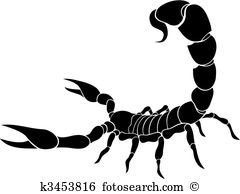 Scorpion Clip Art Illustrations. 2,144 scorpion clipart EPS vector.