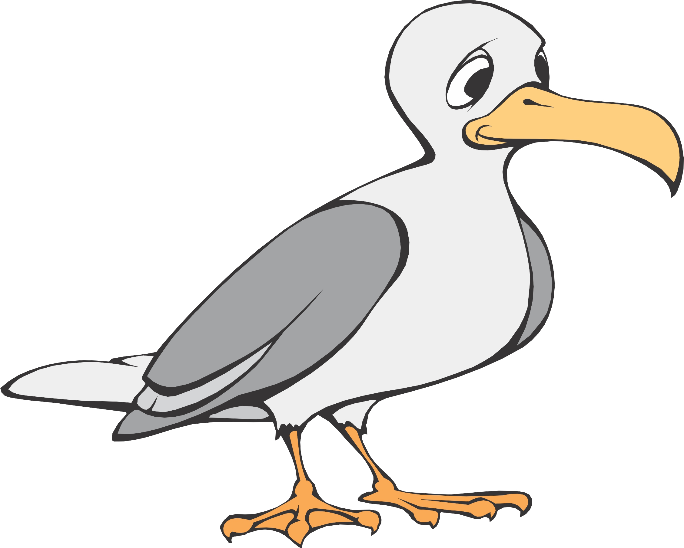 Seagull Clipart.