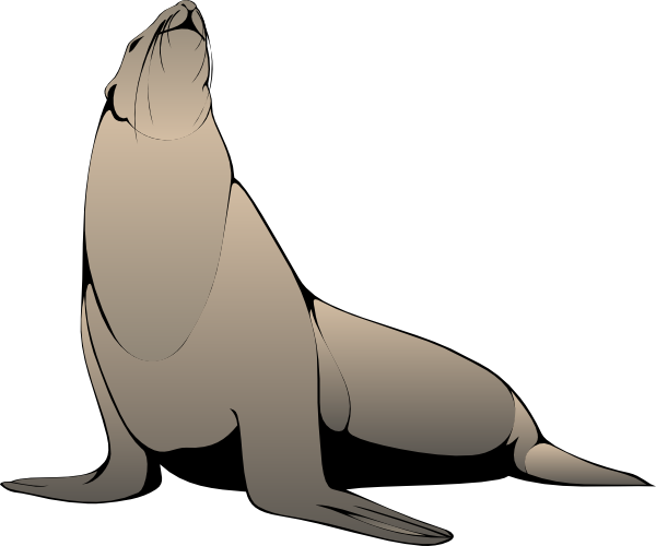 Free Sea Lion Clipart, Download Free Clip Art, Free Clip Art.
