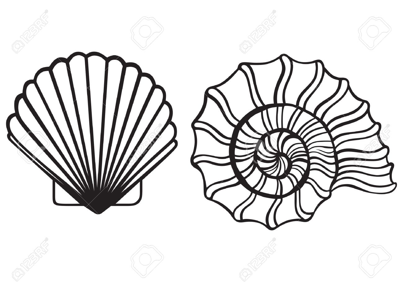 549 Shells free clipart.