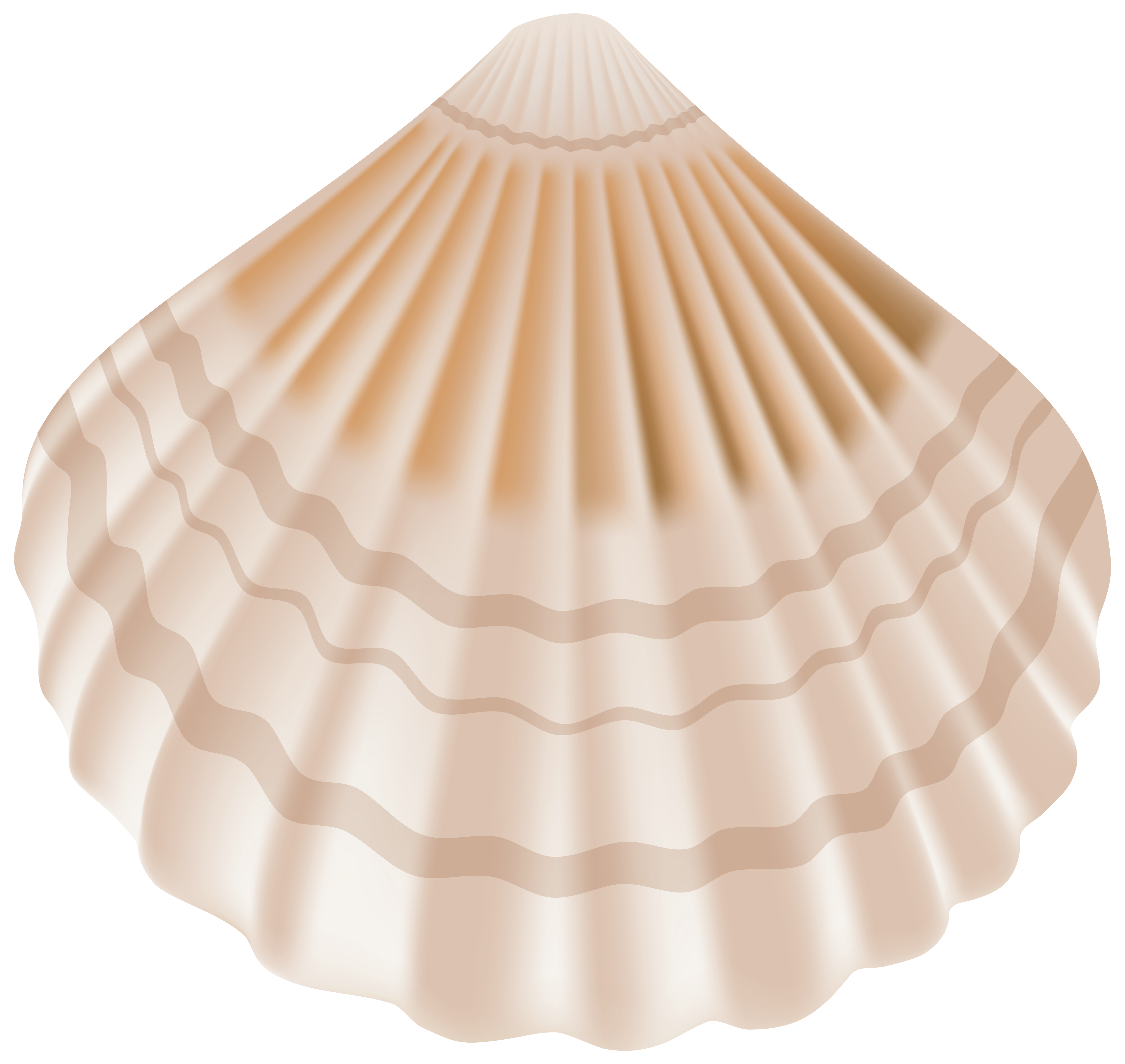 Seashell PNG Clip Art.