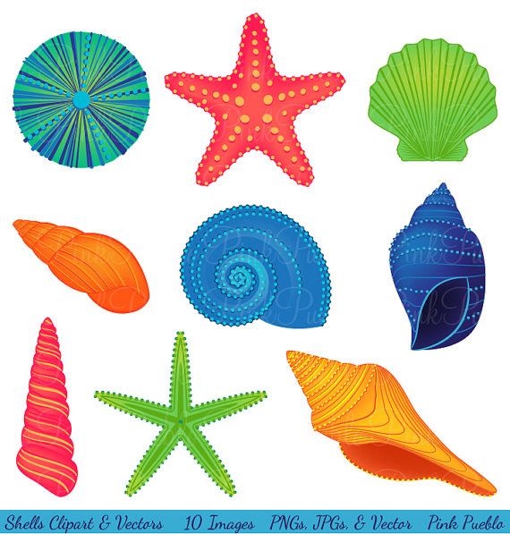 40+ Sea Shells Clip Art.
