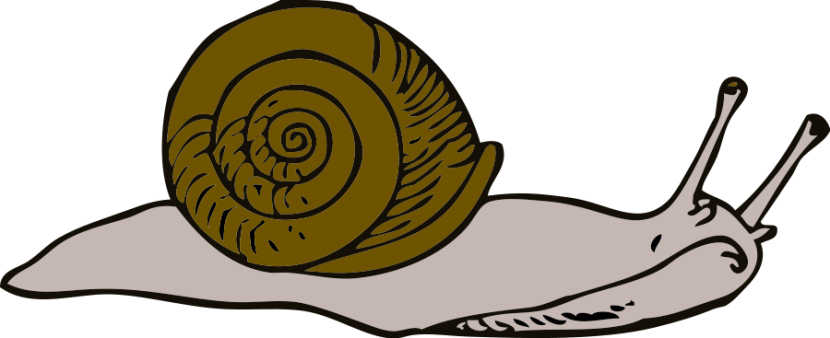 Snail Clip Art & Snail Clip Art Clip Art Images.