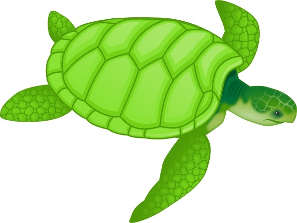 Green Sea Turtle clip art Free vector in Open office drawing.