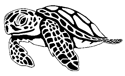 Hawaiian sea turtle clipart.