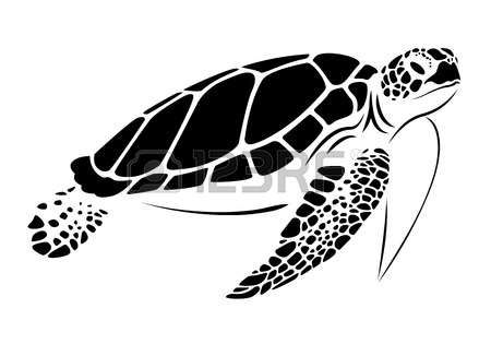 Sea Turtle Clipart olive ridley 16.