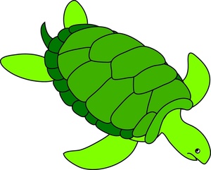 Free Sea Turtle Cliparts, Download Free Clip Art, Free Clip.
