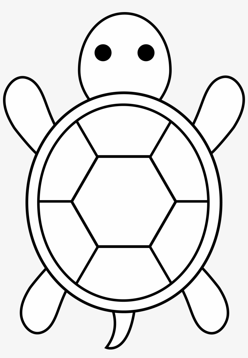 sea-turtle-clipart-black-and-white-10-free-cliparts-download-images