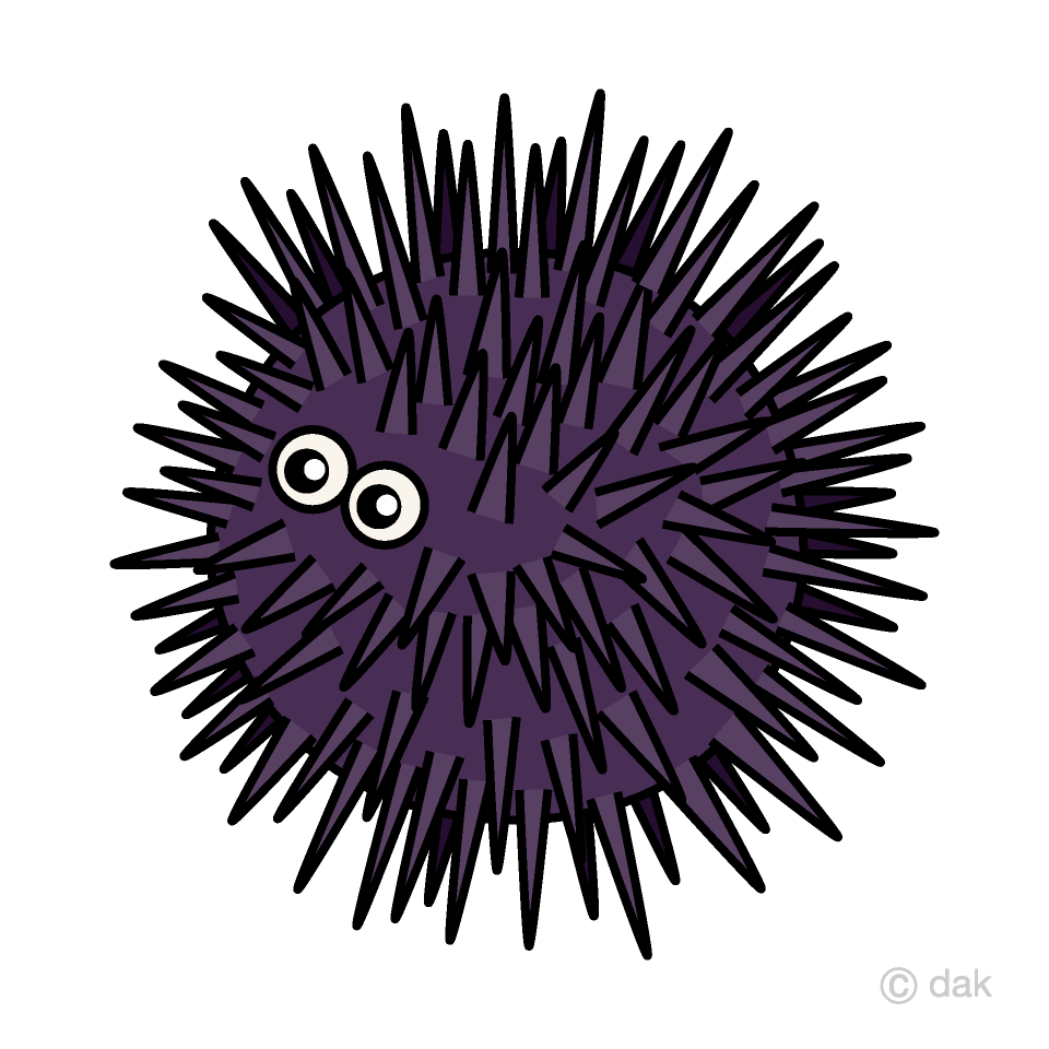 sea urchin clip art 10 free Cliparts | Download images on Clipground 2021