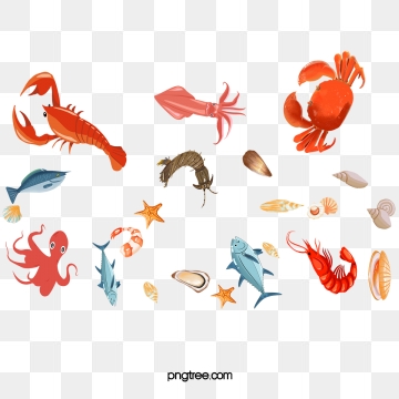 Seafood Png, Vector, PSD, and Clipart With Transparent.
