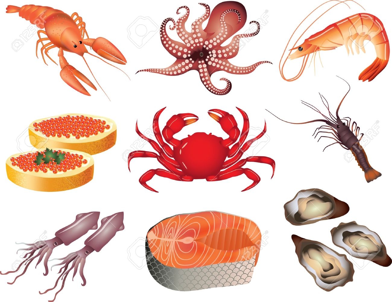 Seafood clipart Elegant Seafood clipart vector Pencil and in.