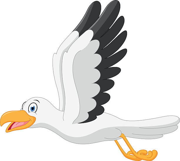 Seagull clipart cartoon pencil and in color seagull.
