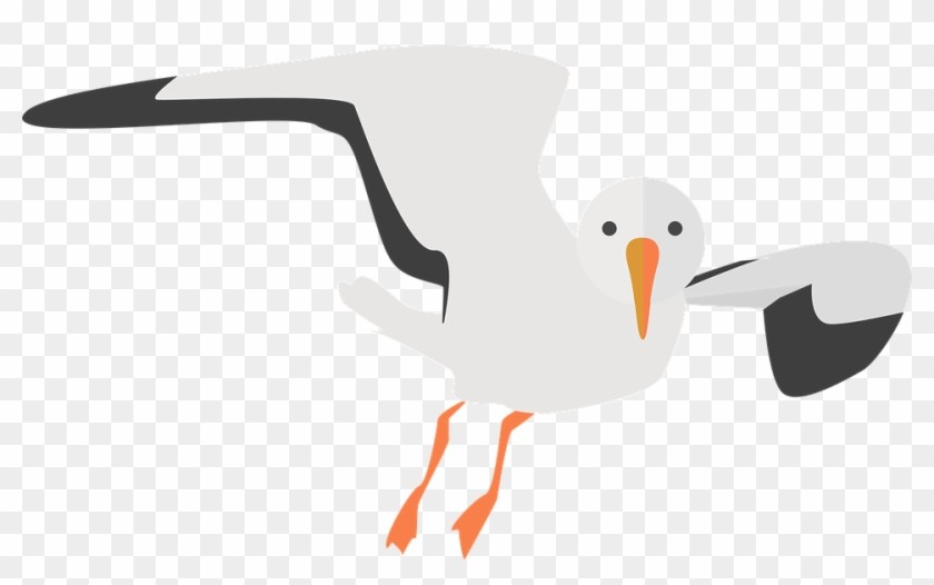 seagull clip art 10 free Cliparts | Download images on ...