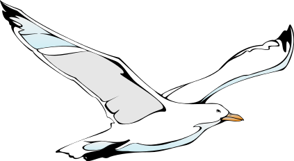 Seagull clip art free clipart images.