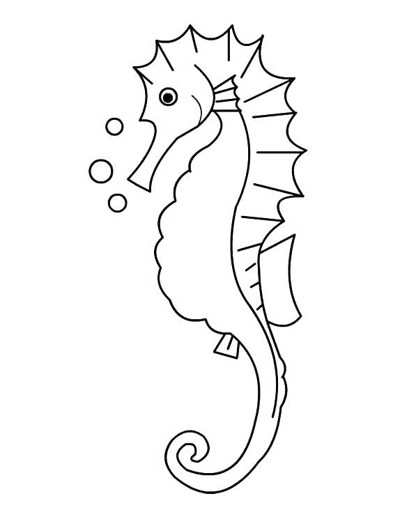 Seahorse Drawing Outline at PaintingValley.com.