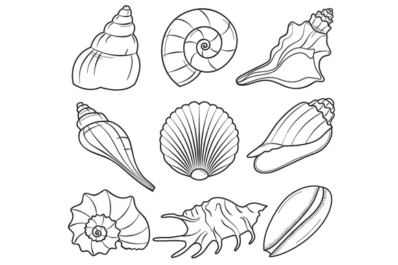Free Sea Shells Black And White, Download Free Clip Art.