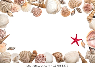 Seashell border clipart 5 » Clipart Station.