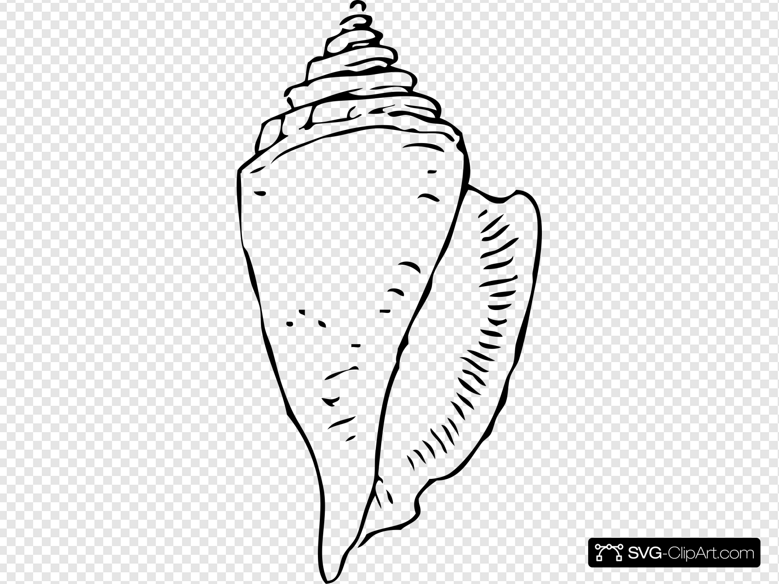 Seashell Clip art, Icon and SVG.