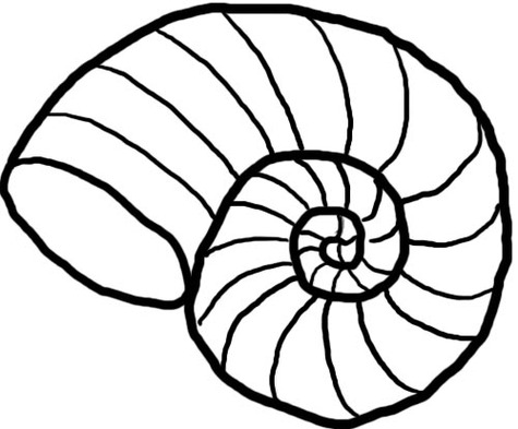 Seashell clipart black and white 3 » Clipart Station.