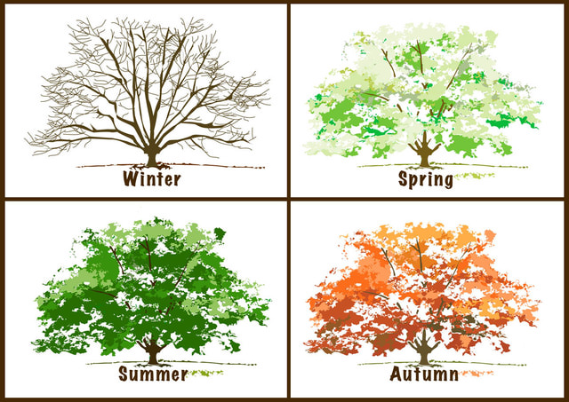 Seasons Clip Art.
