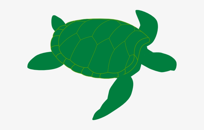 Sea Turtle Clipart.