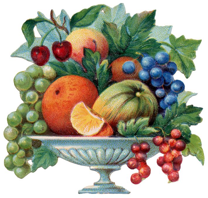 Free Victorian Flowers and Vintage Fruit Clip Art and Borders.