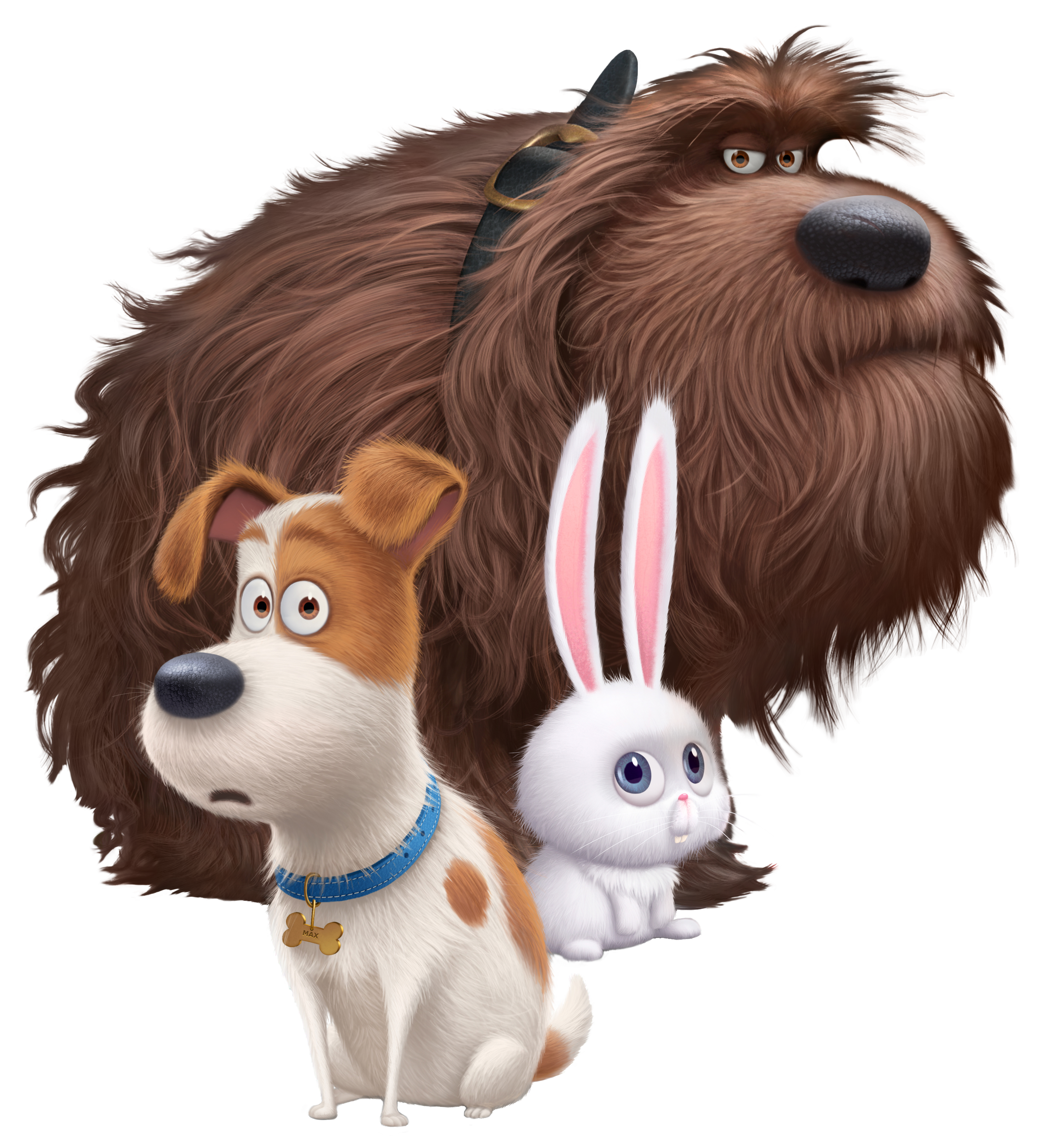 The Secret Life of Pets Transparent PNG Image.