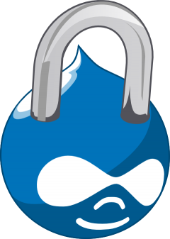 Understanding Drupal Security Advisories: Vulnerability type.