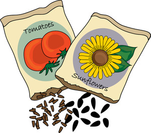 Seed Clip Art Free.