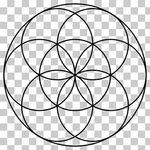 Seed of Life Acupuncture Overlapping circles grid Sacred.