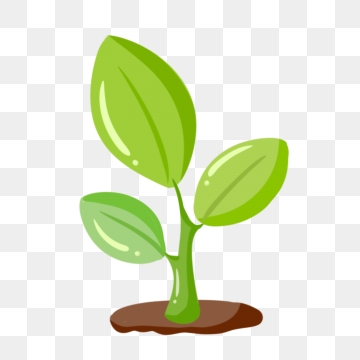 Seed Png Free Cliparts Download Images On Clipground
