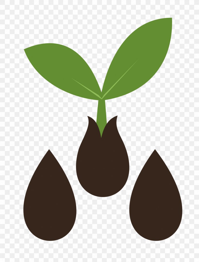 Seed Sprouting Cutie Mark Crusaders DeviantArt Clip Art, PNG.