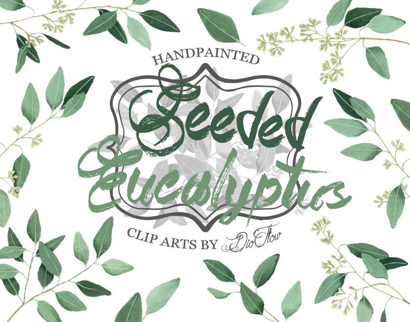 Eucalyptus greenery clipart willow seeded clip art greenery.