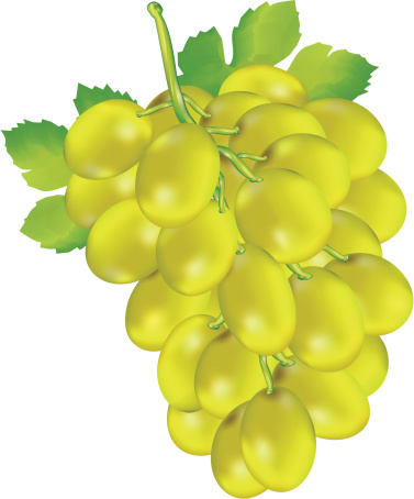 Seedless grapes clipart 20 free Cliparts | Download images on ...