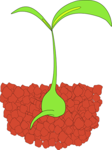 Plant Clip Art at Clker.com.