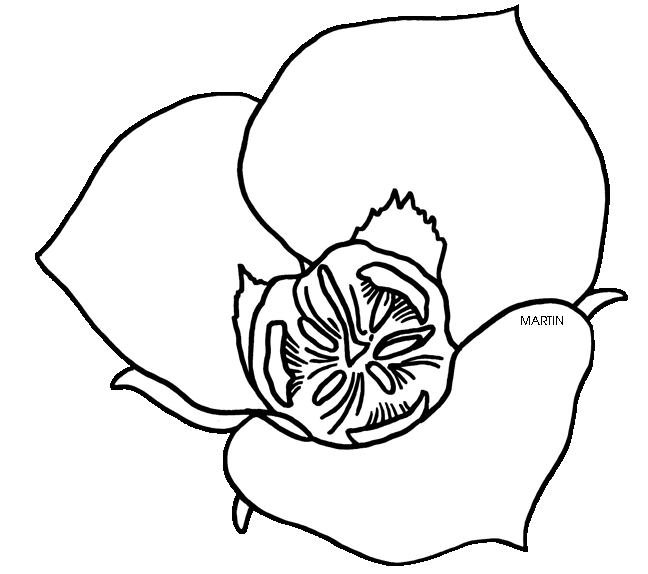 Sego lily clipart » Clipart Portal.