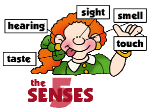 The 5 Senses.