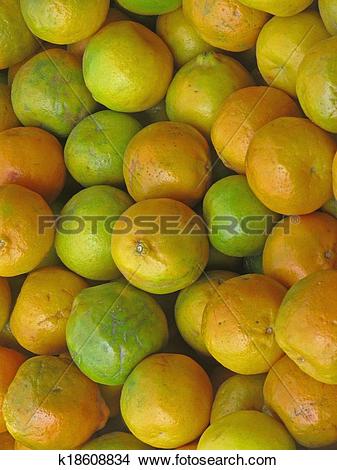 Stock Photo of Orange fruits, Sour orange, Seville orange.