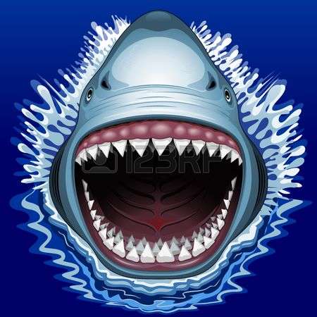 1,968 Shark Mouth Stock Vector Illustration And Royalty Free Shark.