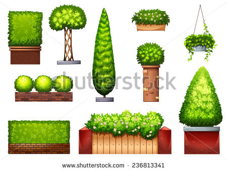 Shade Plants Stock Vectors & Vector Clip Art.