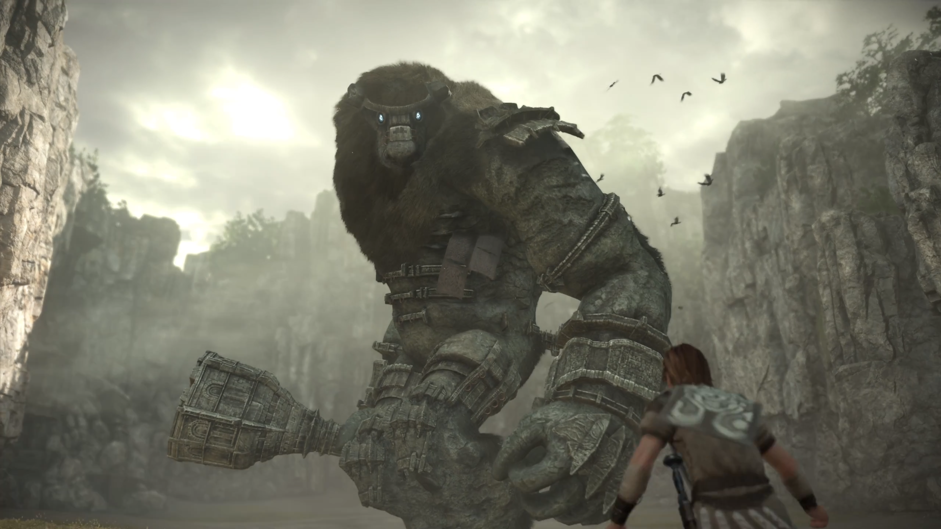 Shadow of the Colossus.