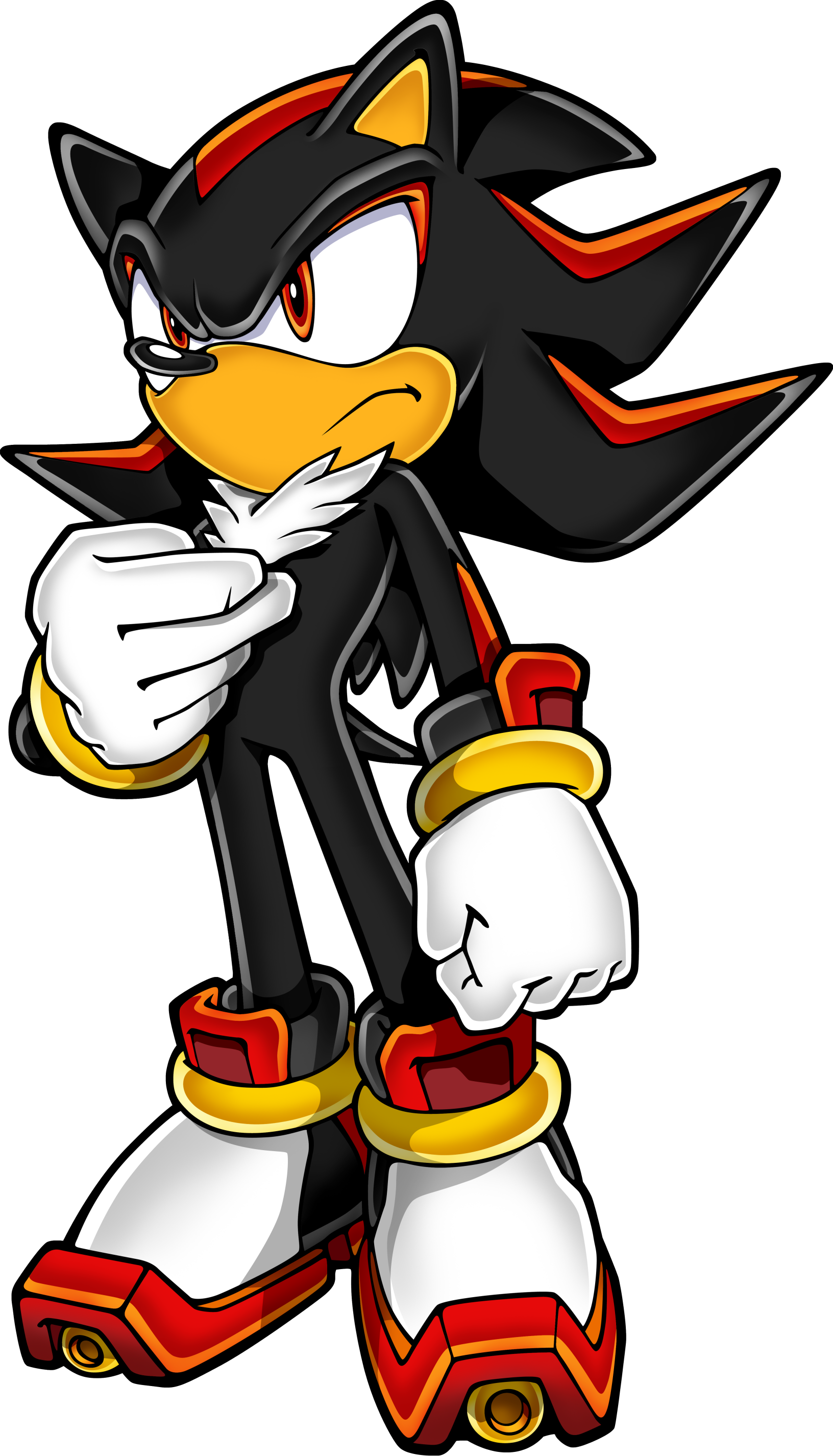 shadow the hedgehog.