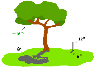 Tree with shadow clipart.