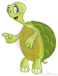 tortoise cartoon.