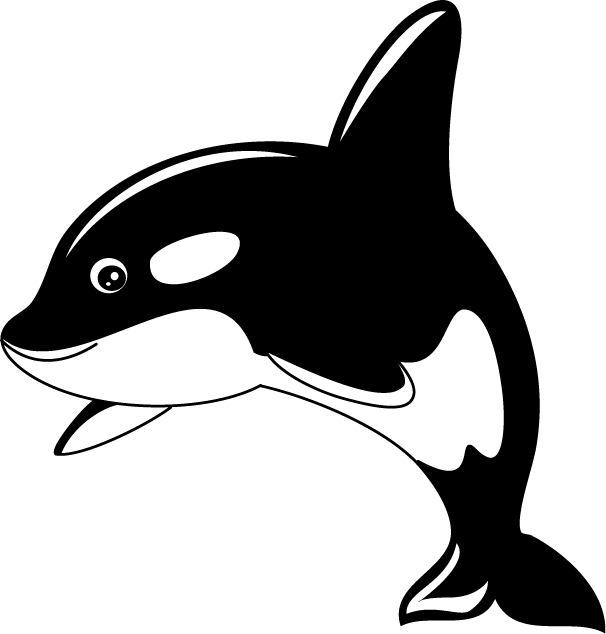 Showing post & media for Cartoon killer whale art.