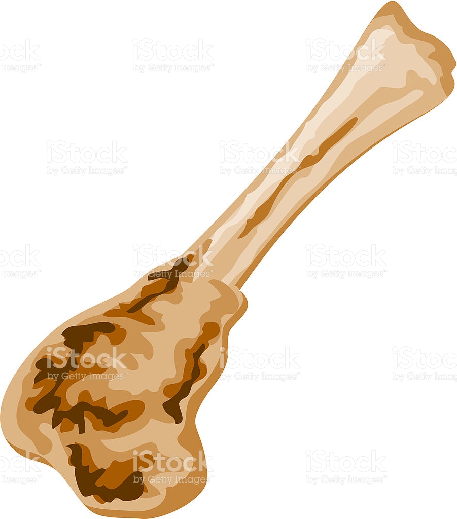 SHANK BONE CLIPART 222px Image 10