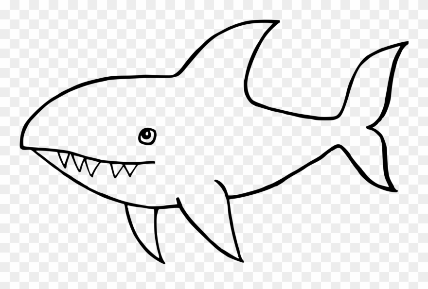 Great White Shark Drawing.