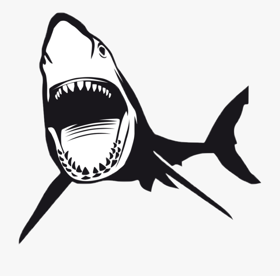 shark #sharksticker #sharks #sharkattack #jaws @haelilulu.